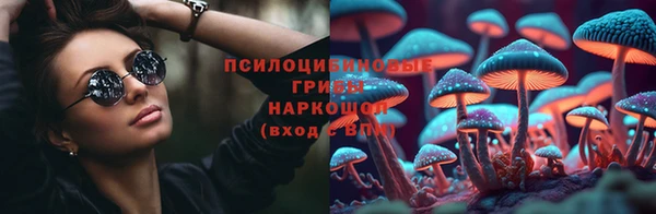 стафф Корсаков