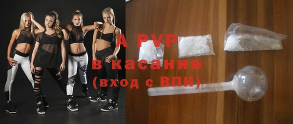 стафф Корсаков