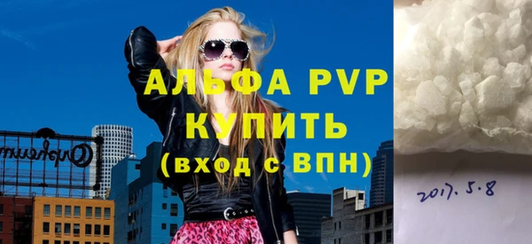 стафф Корсаков