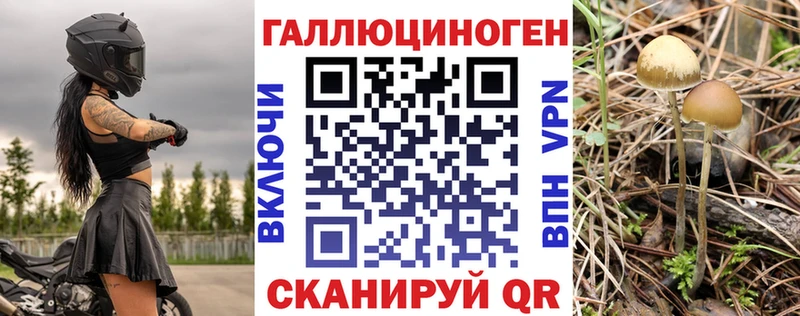 Галлюциногенные грибы Psilocybe Гдов